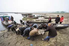 黄河的“迷惑”：渔获不足全国千分之一，竟是10年禁渔绊脚石？图片