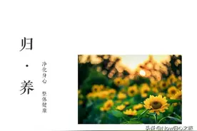 顶级科学家建议少吃肉多吃素的真实研究/杨定一博士真原医内容图片
