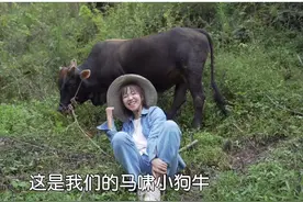 90后“放牛娃”拓展养牛产业链 让村民生活越过越“牛”——临安陈柳图片