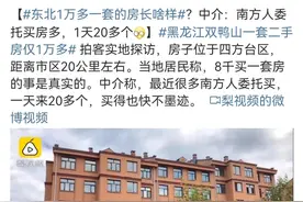 东北1万块1套的房子，值不值得买？图片