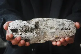 比黄金还贵的动物粪便？一斤就上百万，捡到一坨秒变土豪图片