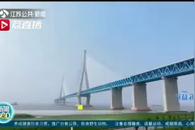 终于等到你！南通百岁老人每天凝望大桥 因为深爱这片土地图片