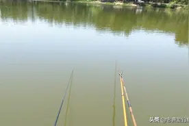 读懂水色，辨明鱼泡，水里有没有鱼一眼看穿，让你不做“光头佬”图片