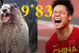32岁封神！苏炳添博士重磅论文：我怎么跑这么快？图片