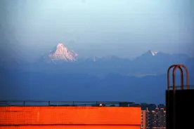 深度行走藏地小金县，四姑娘山的脚下的大美川西，盛放的高山玫瑰图片