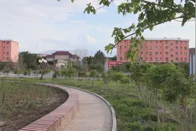 砥砺奋进阔步行——九十一团经济社会发展巡礼图片