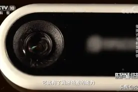 手机+一个镜头=显微镜，随时随地进入“微观王国”图片