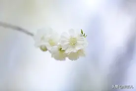 48岁女人自述：和婚外情人在一起时间长了是什么感觉？也会厌倦图片