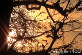 来自俄罗斯的浪漫——古典吉他《我的枫树落叶了》图片