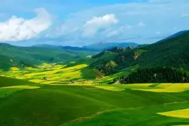 林草科普|林业专业术语：“生态环境”“生态环境建设和林业生态环境建设”图片