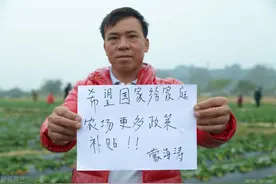 70、80不种地，未来地谁种？山东一招“破解”，粮食给这些人种图片