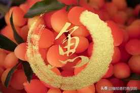什么味型的小黄面钓鲤鱼效果最好？钓鲤鱼小黄面的选择方法图片