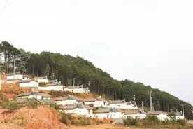 决战老乌山——普洱市、县两级政协助力老乌山脱贫攻坚纪实图片