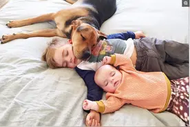 镜头下：小兄妹与爱犬的午睡“三人行”，可爱暖人心图片