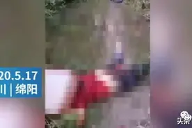 妈妈送儿子返校被黑熊袭击！不幸3人亡图片