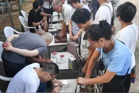 小县城的蟋蟀经济：一个多月资金流动超6亿、没人留着观赏全都想法倒手……图片