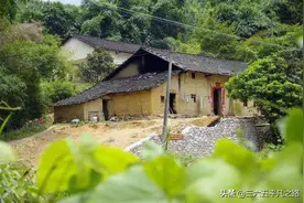 夏季防蛇有绝招，掌握这些，房屋周围没有“长虫”光顾，答案来了图片