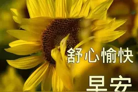 美女表情包：心眼多了，你朋友就少了。心眼少了，玩你的人就多了图片