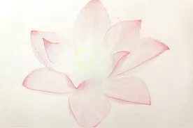 怎么用彩铅画荷花？沧澜分分钟教会你，成画简直美爆了图片
