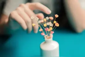 朋友圈霸气的经典句子，吸引朋友圈点赞的话：世人贪婪，总想两全图片