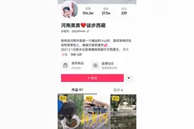 流量为王的“骗局”还是内心救赎？徒步西藏“真真假假”背后图片
