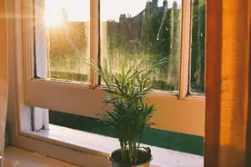 自律和不自律的人，十年后差了一整个人生图片