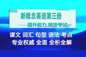 新概念英语第三册第30课语法课文句型词汇全析全解（二)图片