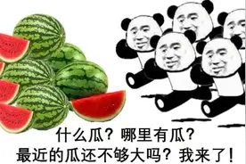 一夜爆火！为什么朋友圈都在“合成大西瓜”？图片