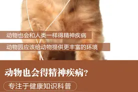 动物也会和人一样出现精神疾病吗？图片