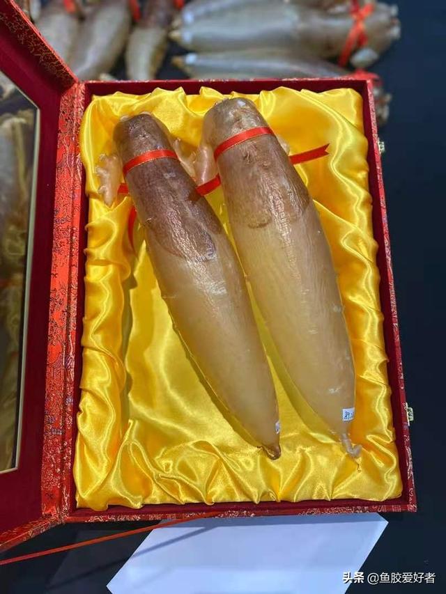 花胶炖烂怎么办 2026年花胶炖烂了怎么办
