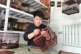 廊坊大城七女古村：金笼织就鸣翠鸟图片