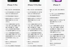 苹果11和11pro和11promax图片
