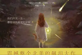 《带我回家》：一条丑闻引发的悲剧，结局却很意外图片