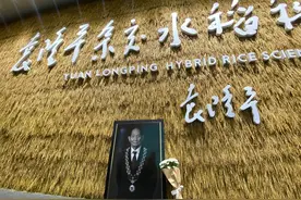 袁隆平院士仙逝，最初是因为“跌倒”！哀痛之余，给老年人提个醒图片