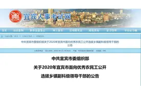 当地首次！这个城市面向农民工，公开选拔乡镇副科级领导干部图片
