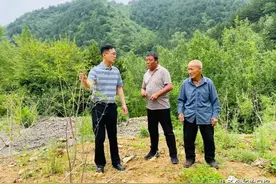 ​两优一先丨程飞：“博士书记”的为民情怀图片