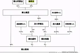 集团负债684亿！南山智尚IPO泄密山东首富宋作文财技图片