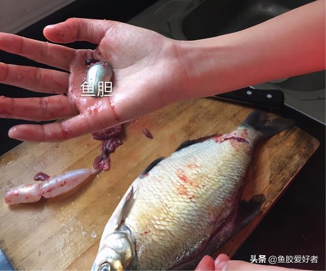 炖后的花胶还吃吗 2026年炖后的花胶还吃吗有毒吗