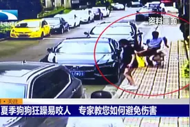 夏季狗狗狂躁易咬人，专家教您如何避免伤害视频封面
