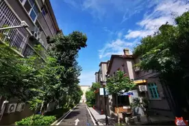 “网红”桐柏路191号院改造完成后，居民很振奋：70岁的老旧小区，比刚建成时还美图片