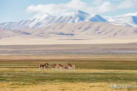 我国四大无人区，生命的禁区，旅行的禁区图片
