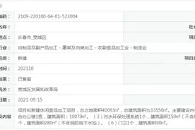 总投资1.8亿元！辣小鸭食品厂落位长春宽城图片
