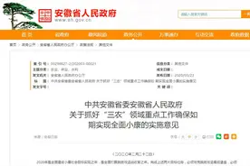 2020年安徽省委一号文件来了（附权威解读）图片