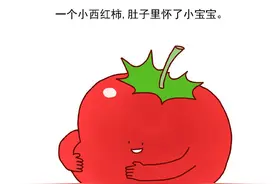 西红柿生出来的小宝宝怎么会是草莓图片