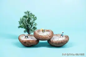 脑洞大开！这位摄影师用蔬菜瓜果打造了一个“魔法世界”图片