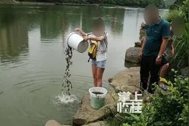 匪夷所思！桂林江边竟有人放生蛇图片