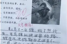小学生试卷答案太直白，老师气得直跺脚，网友却乐弯了腰，鬼才图片
