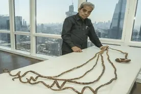 大爷留了44年长指甲, 决定捐给博物馆, 不料指甲被剪后发生了变化图片