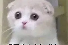 「表情包」早安哟铁汁们图片