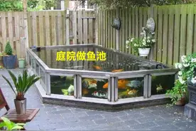 庭院里找一块地，砌个50公分的鱼池养养鱼，流水石景，天天看不腻图片